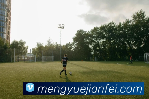 伟德首页品牌故事